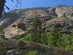 Glacial carving is evident in the smooth canyon walls