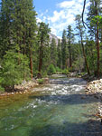 Another beautiful morning along this wilderness river. Bridge in Pate Valley.