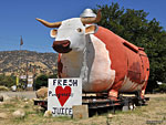 Love the giant ox by a Three Rivers market, but not pomegranate juice...