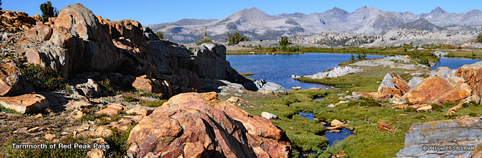 The stone up here is a distinctive color, unique in granite gray Yosemite