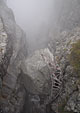 Fallen bridge in narrow, deep canyon. It's a long way down!