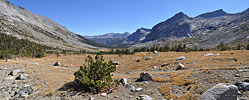 View south down the Big Arroyo. It's several miles around the bend before the Kaweah range comes into view on the left