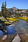 An outlet stream of the first of the Little Five Lks. with its lush, grassy banks.