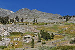 A cowboy leads his mule train to Black Rock Pass