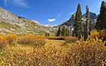 Fall colors in the high Sierra