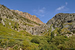 The trail drops 1000's of feet as it descends the Cliff Creek valley. Looking east back up the mountain the way I came.