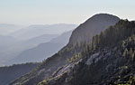 Moro Rock at the southern edge of Giant Forest, draws closer, signaling the end to the journey. From atop the giant dome, there's a commanding 360 degree view of the park. People can be seen silhouetted on the summit from miles away.