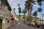 Early morning along the Avalon waterfront