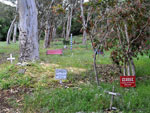 Pet cemetary in Avalon