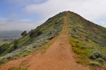 This hill is steeper than it looks, with slippery footing - it was hard to stay upright