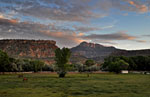 Pasture at dusk in Springdale