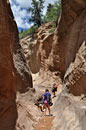 Making our way down canyon, the high walls provide relief from the hot sun.