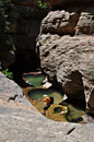 This ledge prevents "bottom-up" Subway hikers from continuing up stream without a rope.