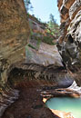 The famous pools and curved wall of Zion's "Subway"