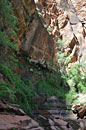 Back on solid ground after the final rap, belaying for the next to appear over the edge.