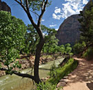 The bridge at the Grotto bus stop is the beginning of the West Rim trail to Angel's Landing.