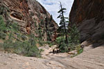 From here, we break out from the tall peaks and the main Zion canyon comes into view