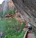 We pack the ropes, then a quick scramble through brush and we're back on the trail to the Emerald Pools