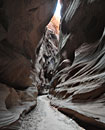 Before the sun reaches in, the lower canyon walls struggle to unveil color.