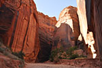 After a few miles, the canyon leaves Utah and enters Arizona, which has a different time zone because it doesn't use Daylight Savings Time. (I learn this from some other hikers)