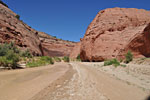 3 miles south of the Whitehouse campground, the Paria has carved unique "Hobbit houses" into the sandstone on both sides of the river.