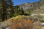 Autumn colors in Big Pine Lakes basin