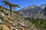 Kid Mtn., view east near the high plain above Second Falls