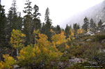 Snowy Autumn Sierra day