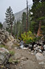 The creekside path above 2nd Falls