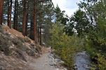 Big Pine Creek near the trailhead